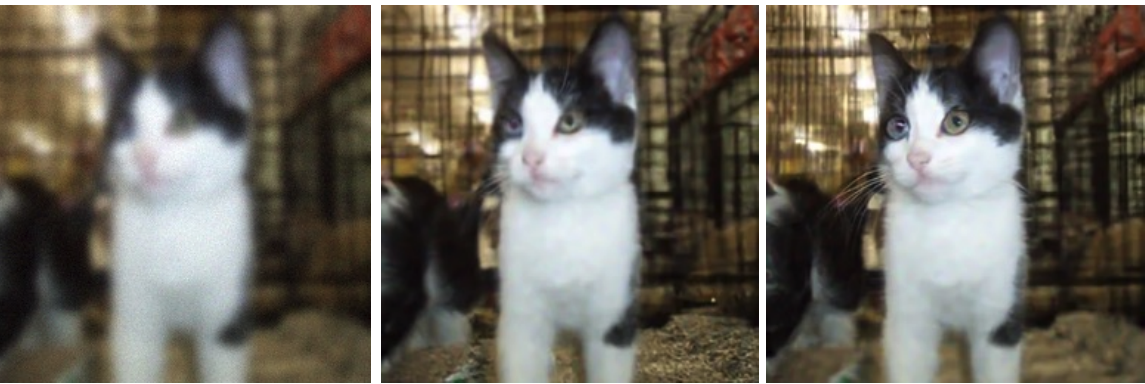 gaussian deblur example 3