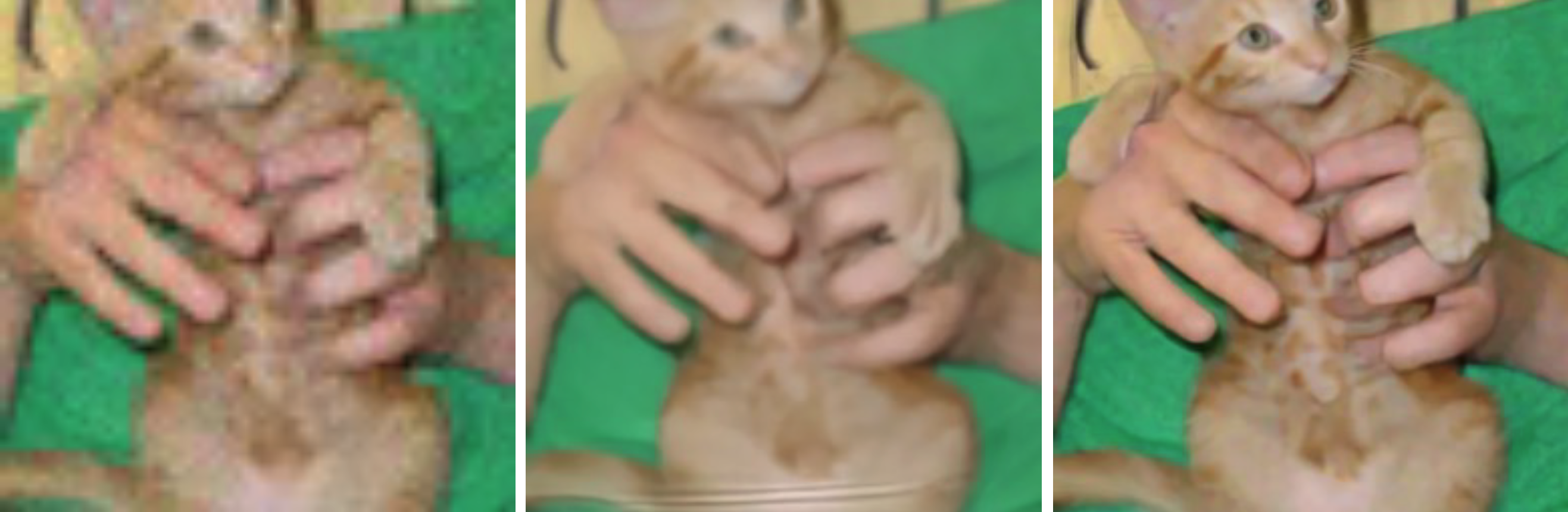 super resolution example 2